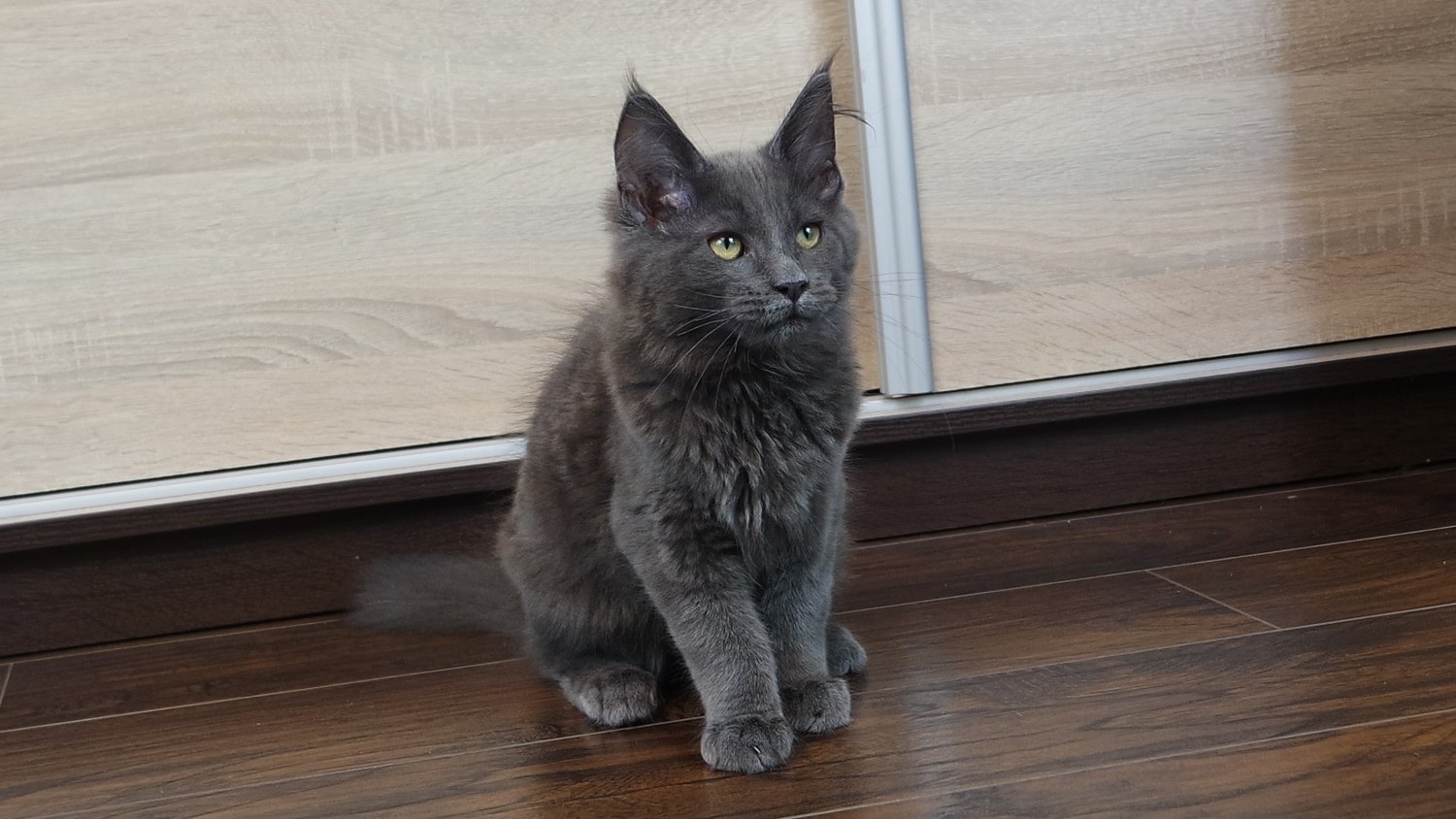 Anielka